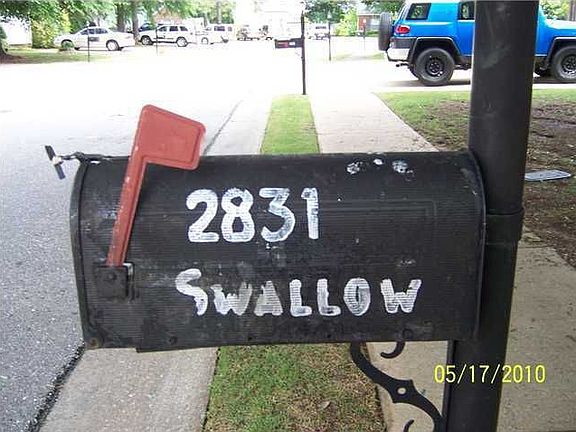 2nd image of 2831 Swallow Ln