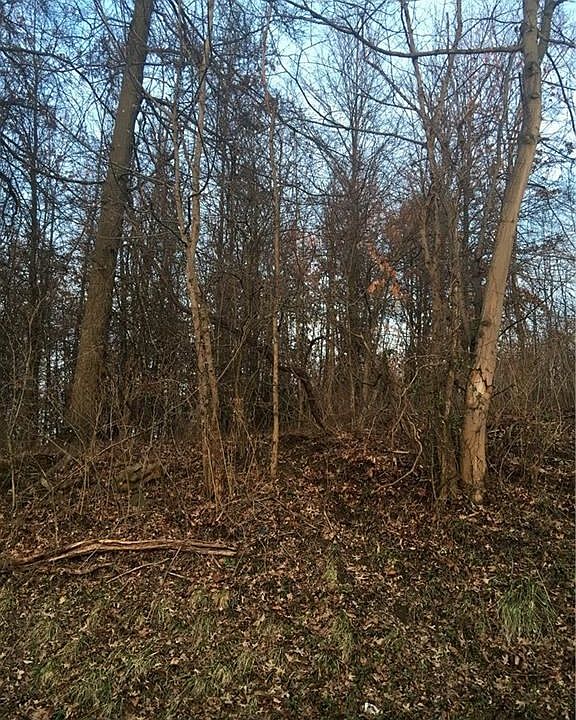 2nd image of 000 Stotler Rd