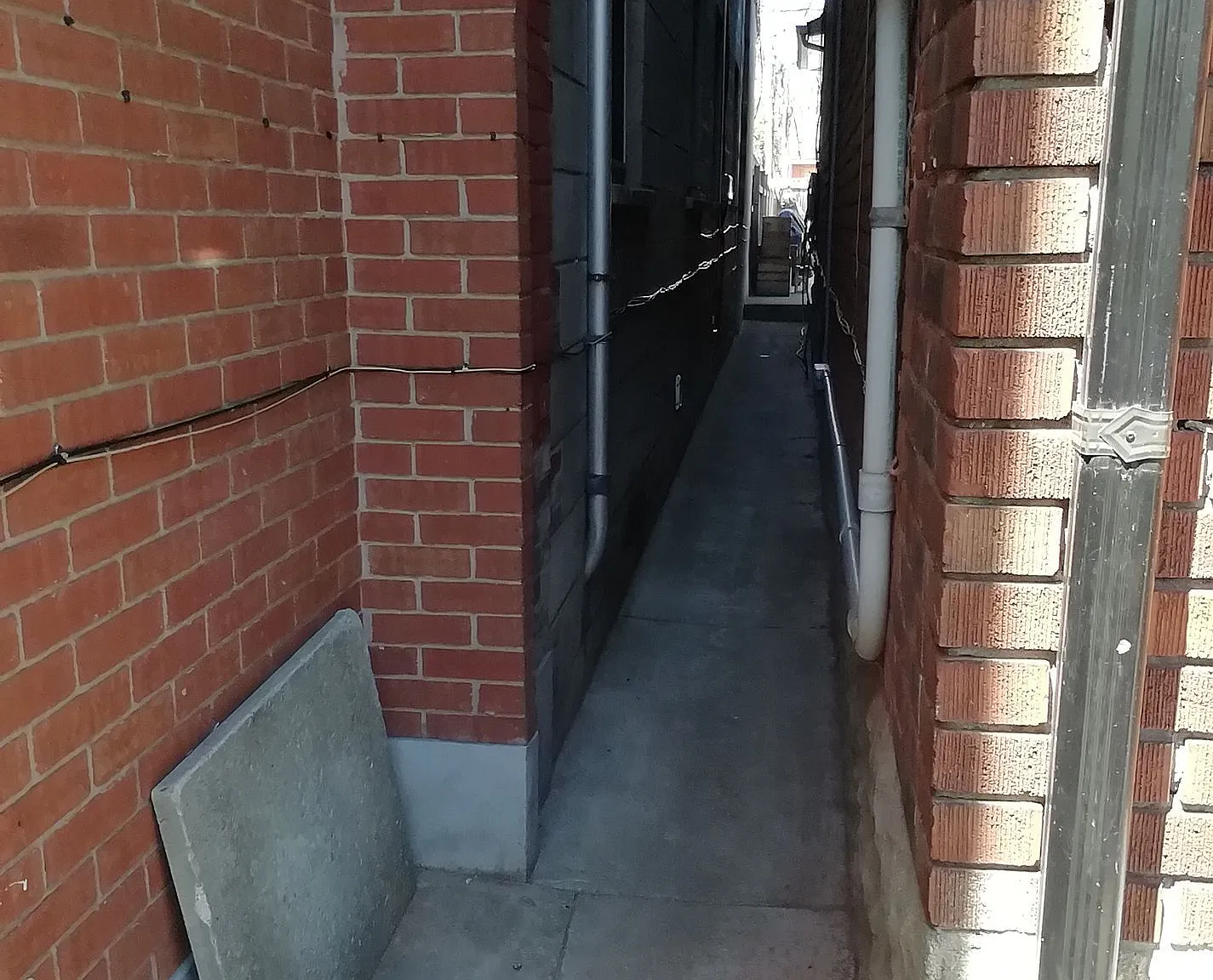 1 bed, $1,800 — Photo 3