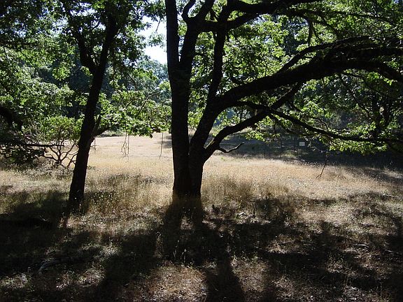 4th image of 1880 Vista Del Lago Road