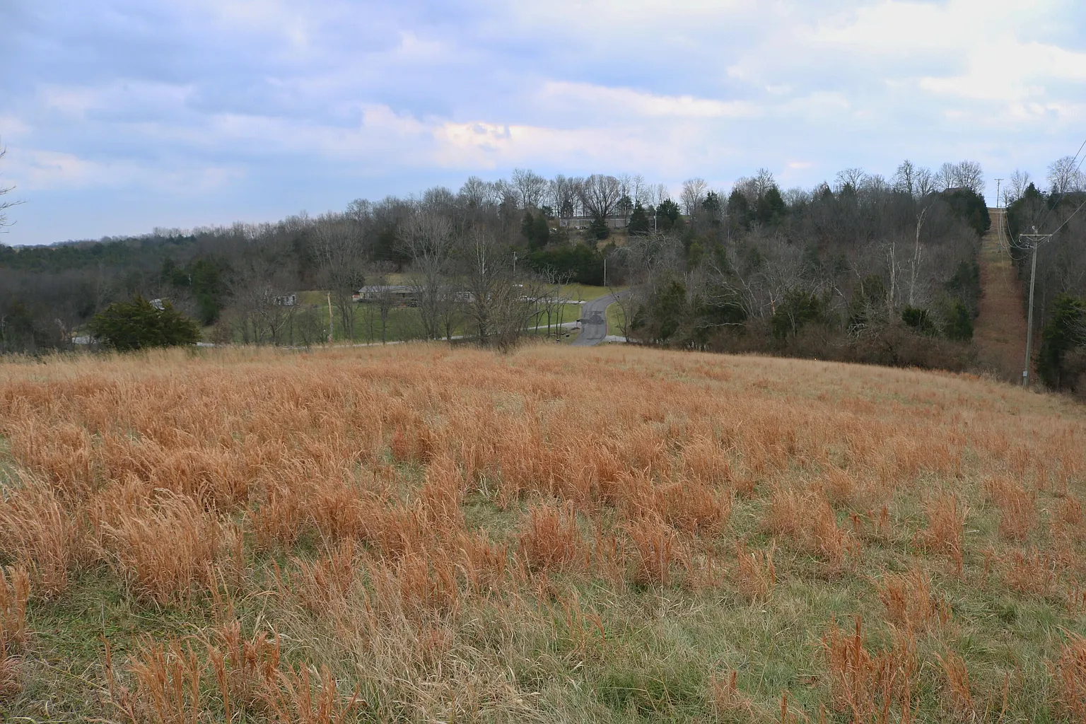 13222 Pleasant Ridge Rd photo 1
