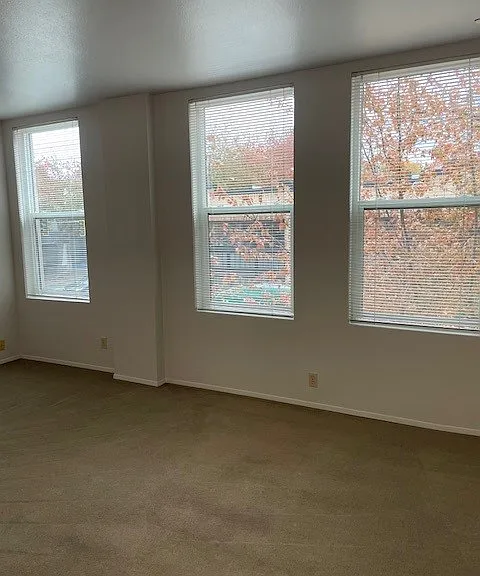 8509 Greenwood Ave N #24 — Photo 3