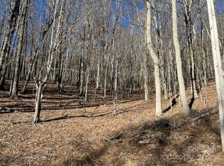 326 Hamlin Ln #57, Mars Hill, NC 28754