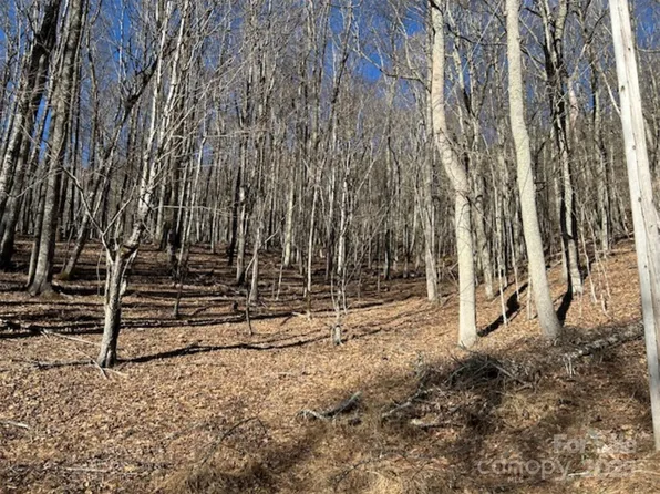 326 Hamlin Ln #57, Mars Hill, NC 28754