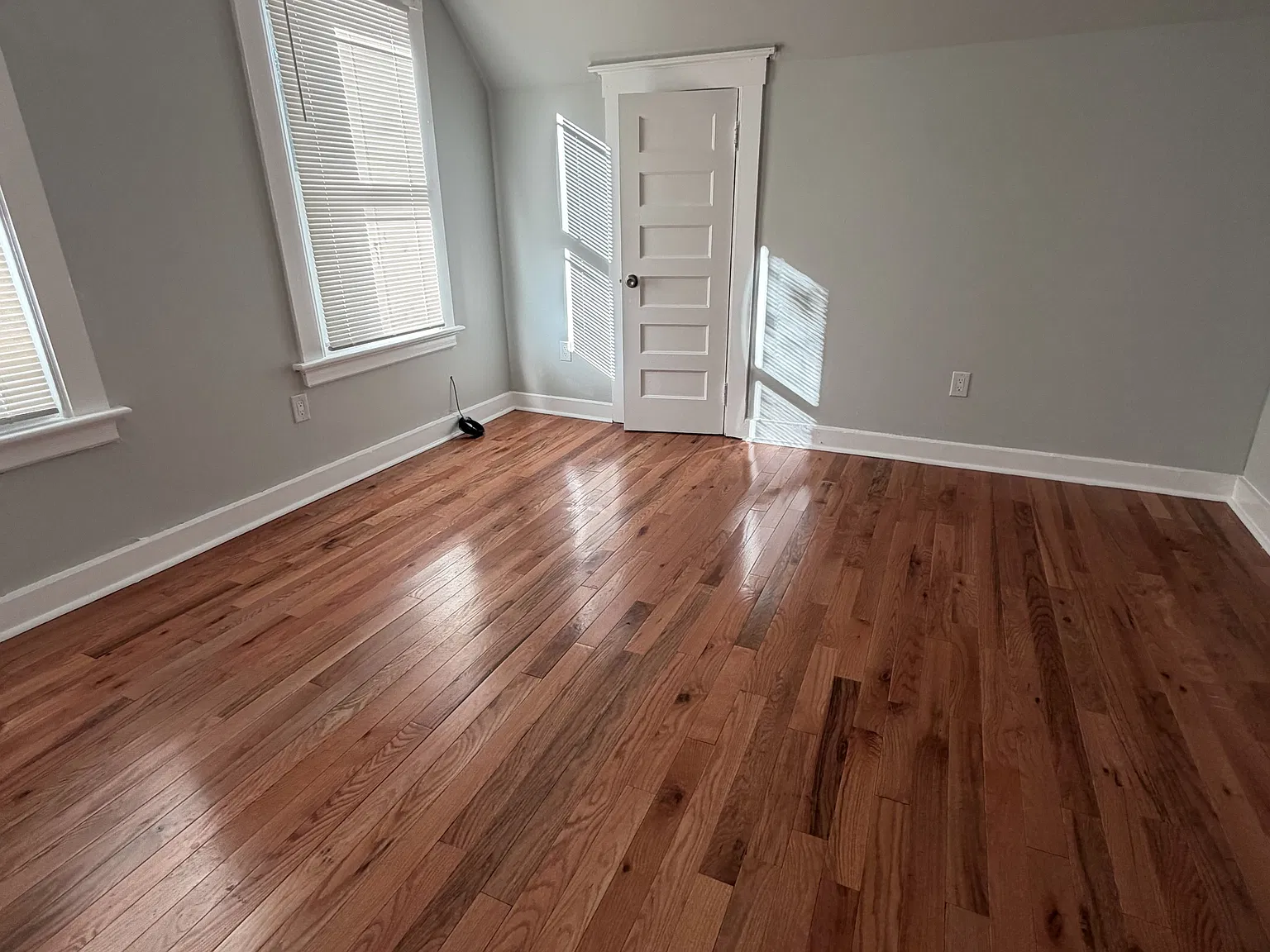 368 Norton St — Photo 3