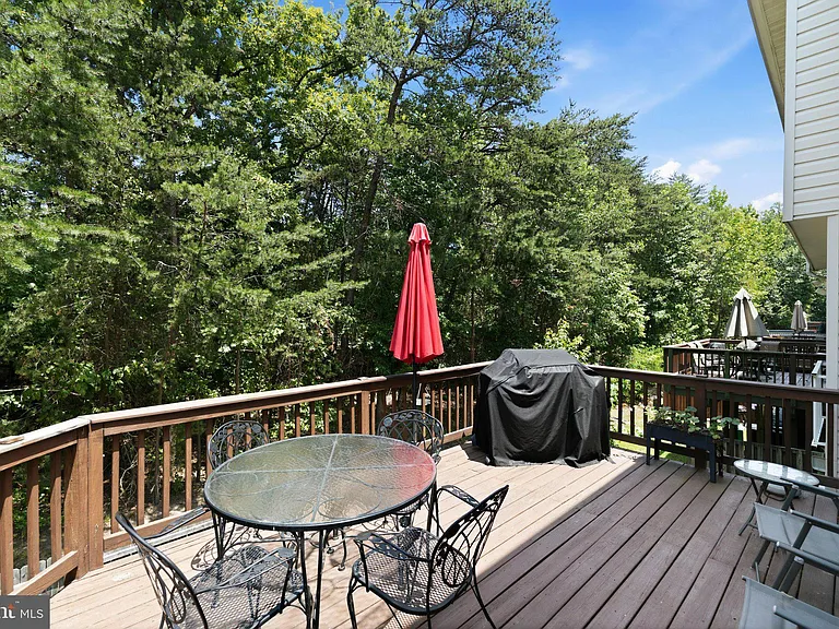 1518 Deep Gorge Ct — Photo 29