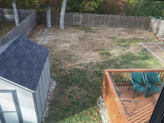 Backyard and Deck View