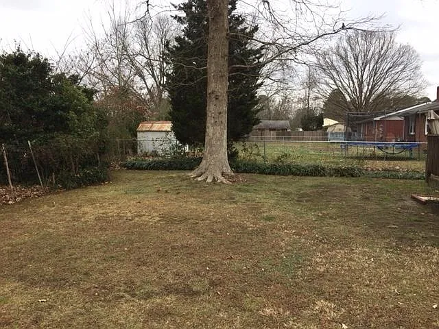 Backyard View