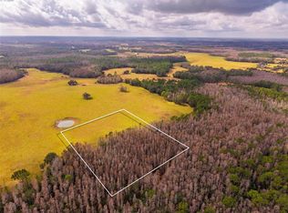 Line Block Rd, Clermont, FL 34714