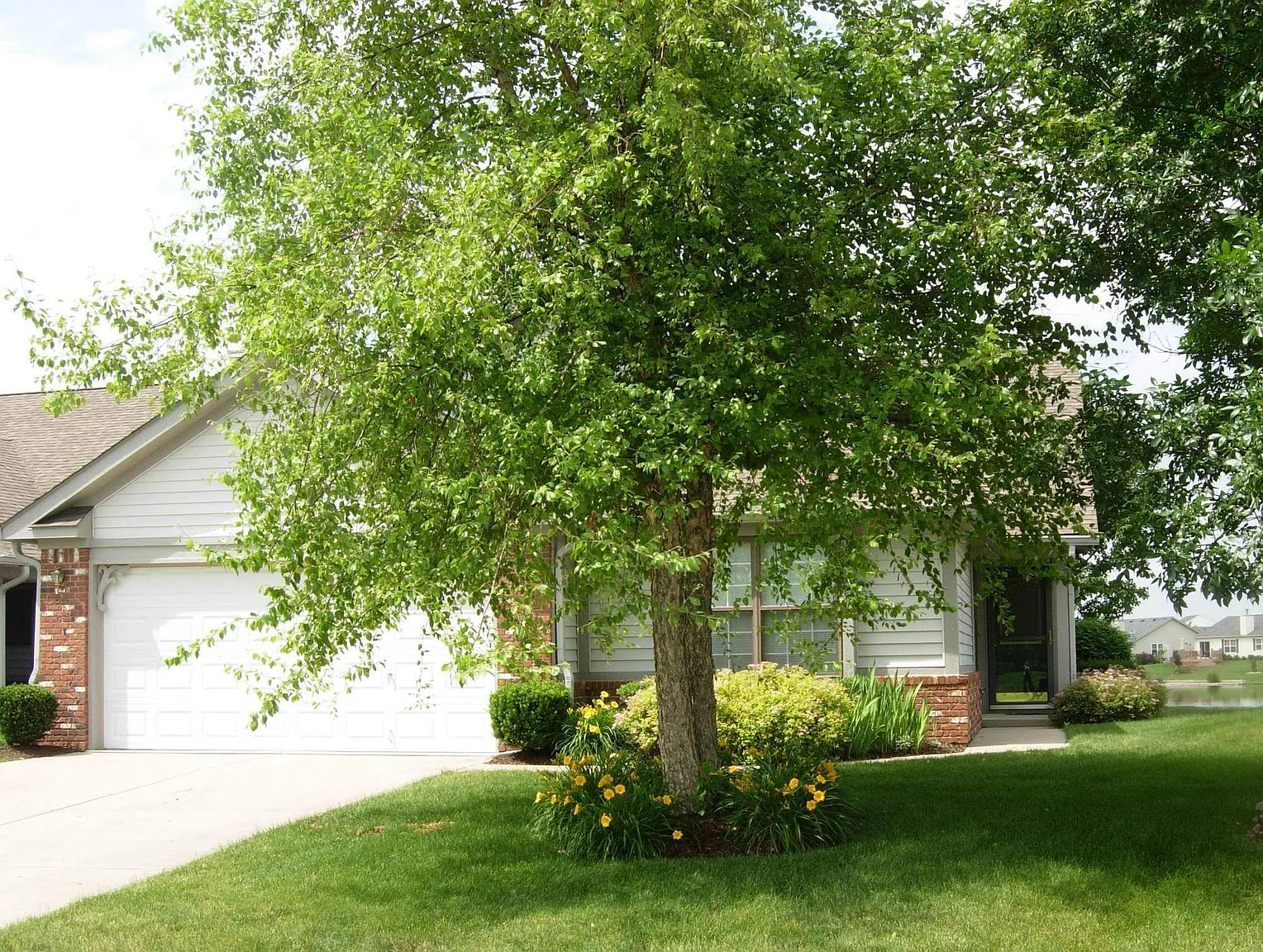 1331 Worcester Way photo 1