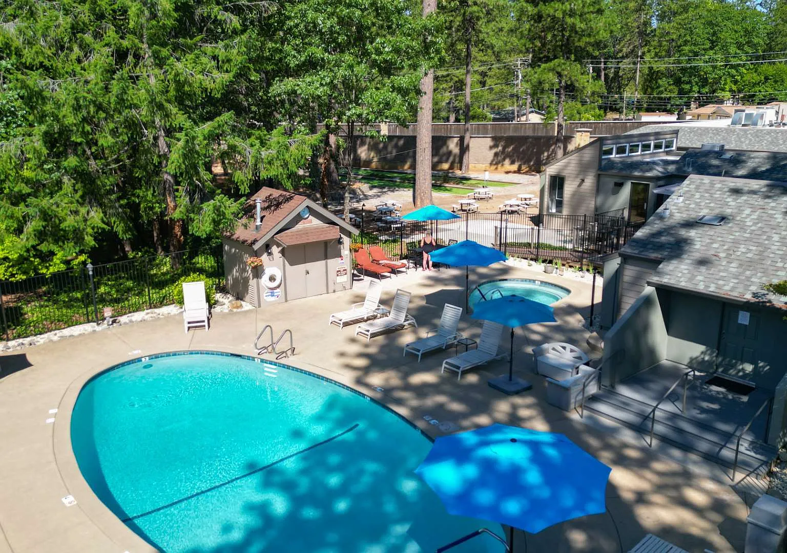 Forest Springs — Photo 1