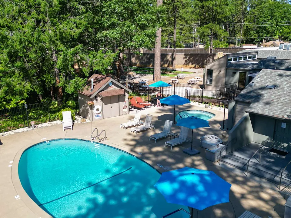 Forest Springs