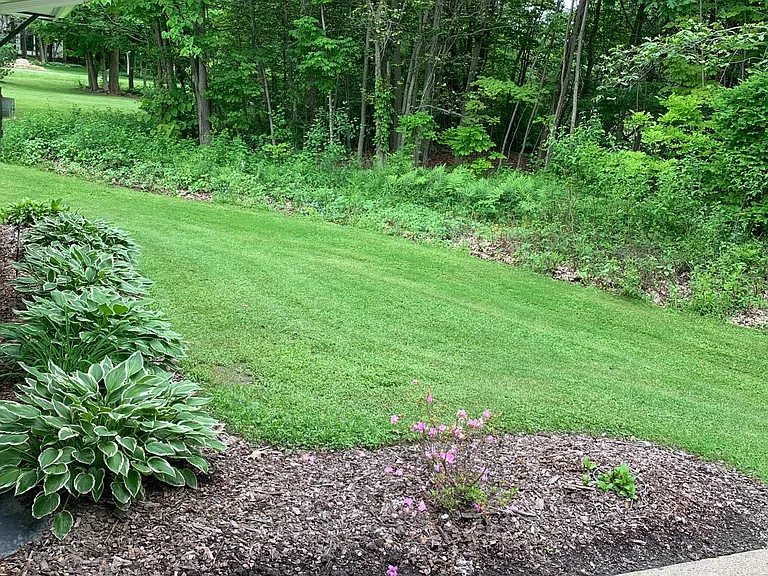 12208 Shiloh Dr #2 — Photo 31