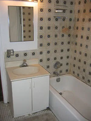 Rented by Eric Goodman Realty Corp | media 18