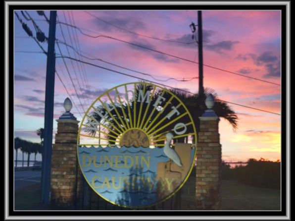 2700 Bayshore Blvd APT 589, Dunedin, FL 34698