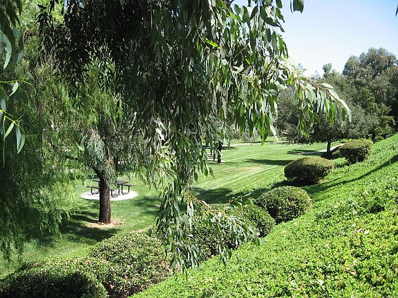 PARK VIEW