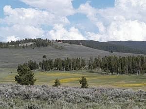 3rd image of 790 Williss Road