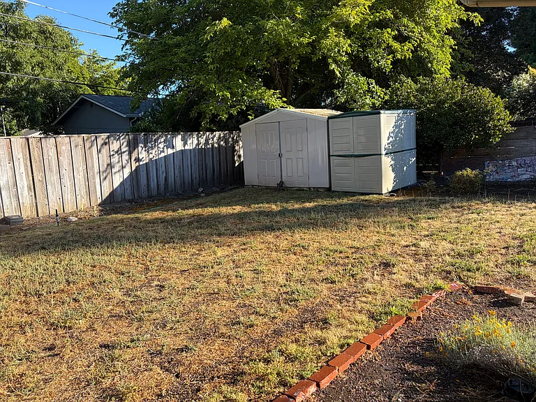 Back yard