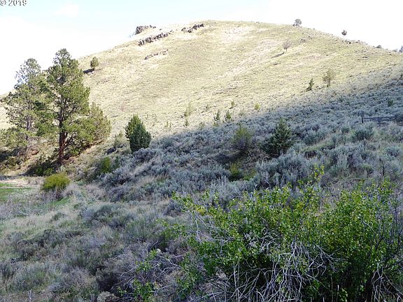 5th image of 21456 Sumpter Stage Hwy