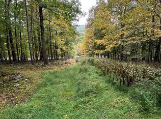 Upper Cove Rd, Mathias, WV 26812