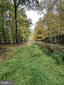 Upper Cove Rd, Mathias, WV, 26812