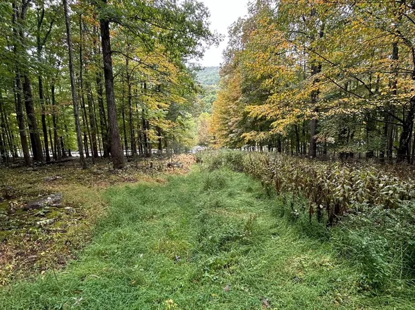 Upper Cove Rd, Mathias, WV 26812