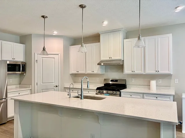 477 Alicia Kelton Dr — Photo 4