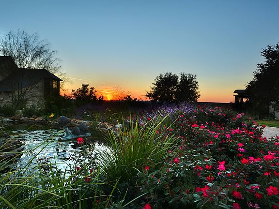 Lush Common Area Plantings