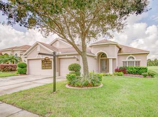1306 Emerald Hill Way, Valrico, FL 33594