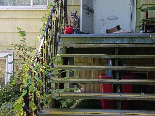 1824 E 11th Ave, Vancouver, BC V5N 1Z1