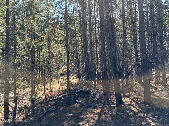 5th image of 27 Surveyor Rd