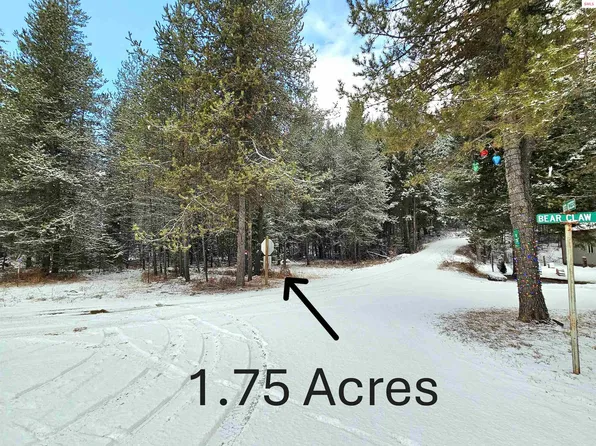 Nna Bear Claw Rd, Clark Fork, ID 83811