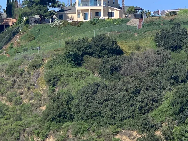 House on the top of park
