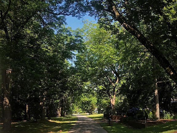 driving west down Pecan Lane towards 110.