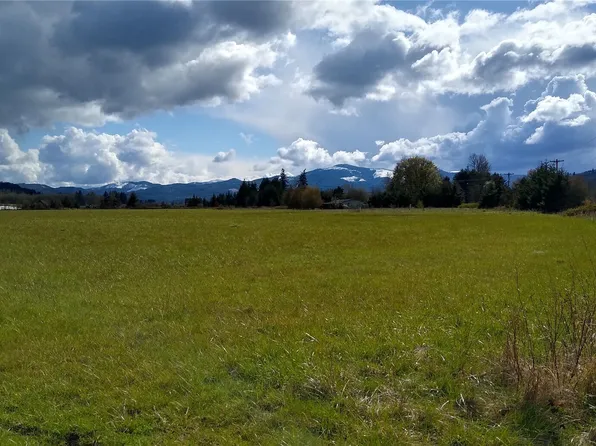 559 08 Boistfort Rd, Curtis, WA 98538