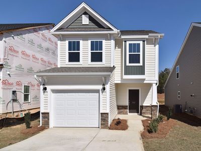 1147 Bergenfield Ln, Chapin, SC, 29036