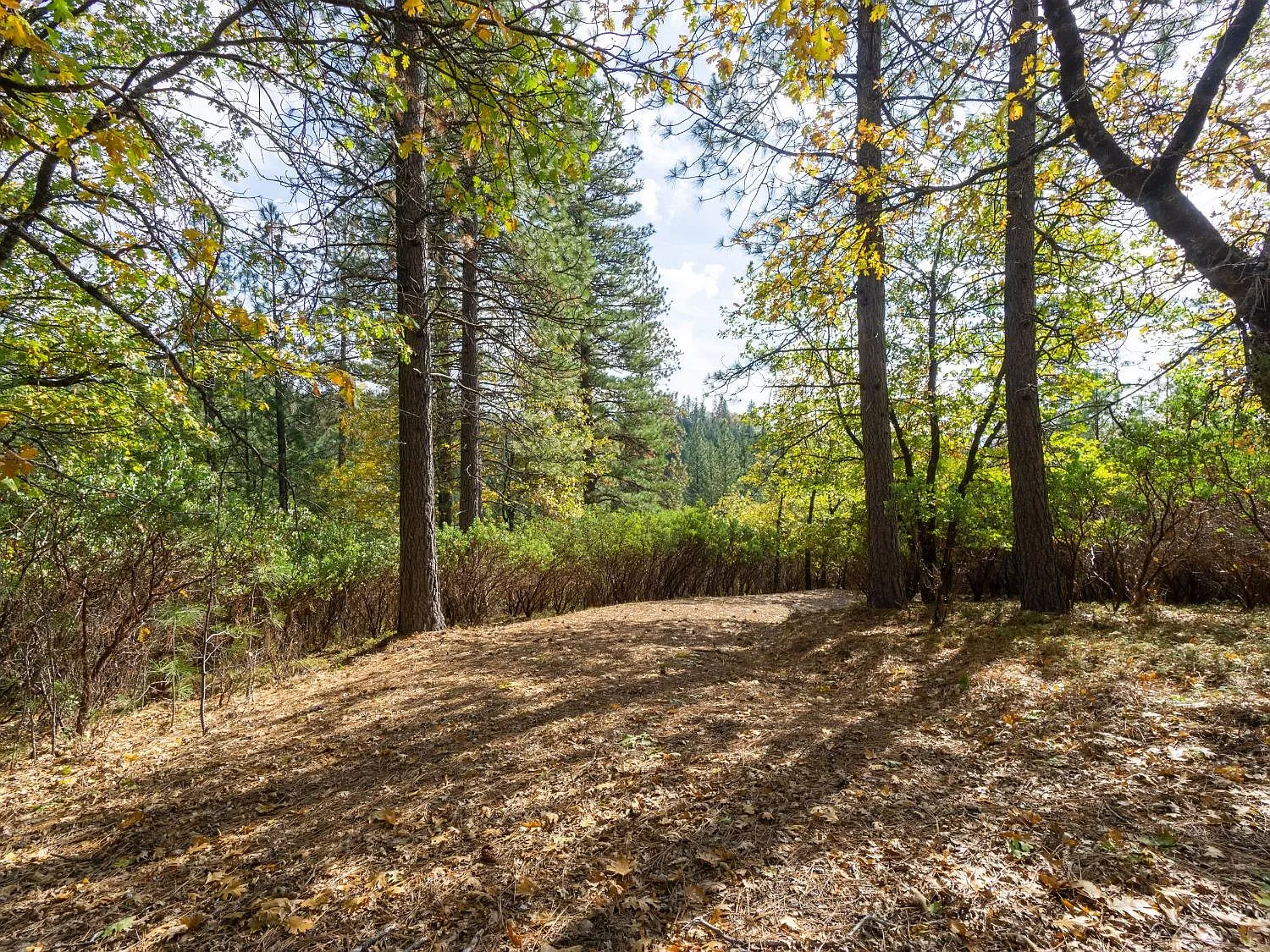 5031 Anne Louise Ln photo 1