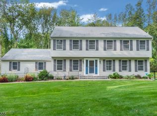 9 Barstann Ct, Long Valley, NJ 07853