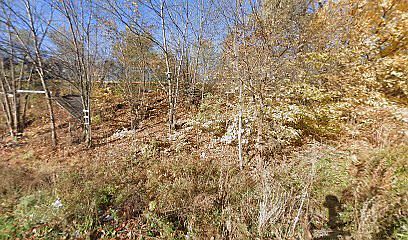 2nd image of 2151 W 53rd Pl