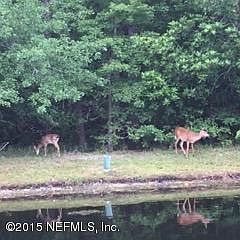 3rd image of 13737 W WM DAVIS Parkway