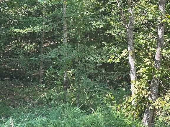 3rd image of 2 Cedar Ridge Rd