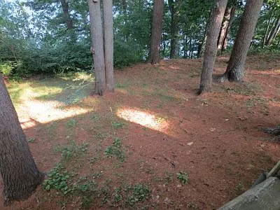 6 Rowell Rd #1 — Photo 13