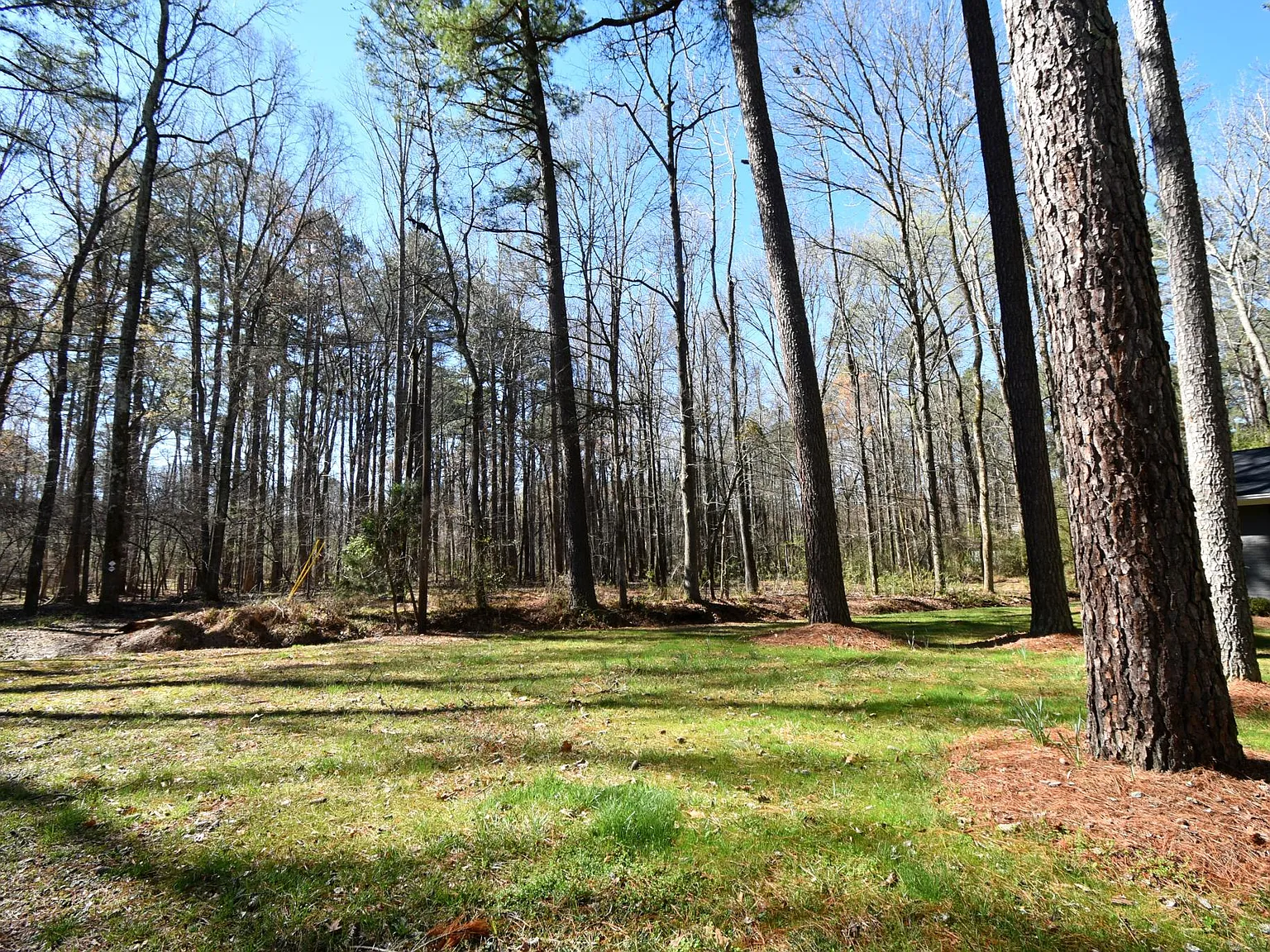4012 Hillgrand Dr — Photo 3