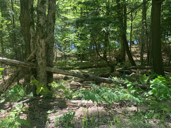 0 Wurm Rd, Magnetawan, ON P0A 1C0