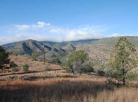 3rd image of 107 Ponderosa Crest Trl