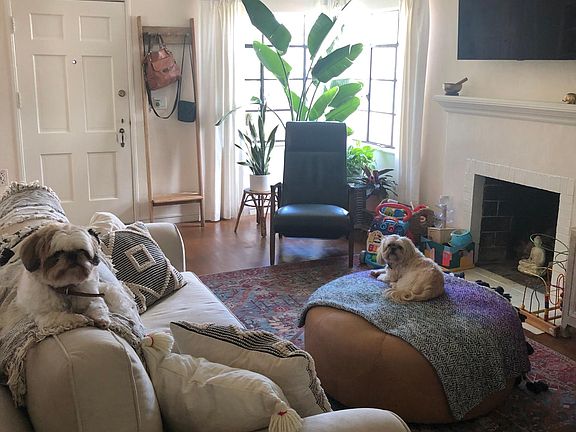 Another view of the living room.