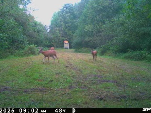 4th image of 188 W Procunier Rd