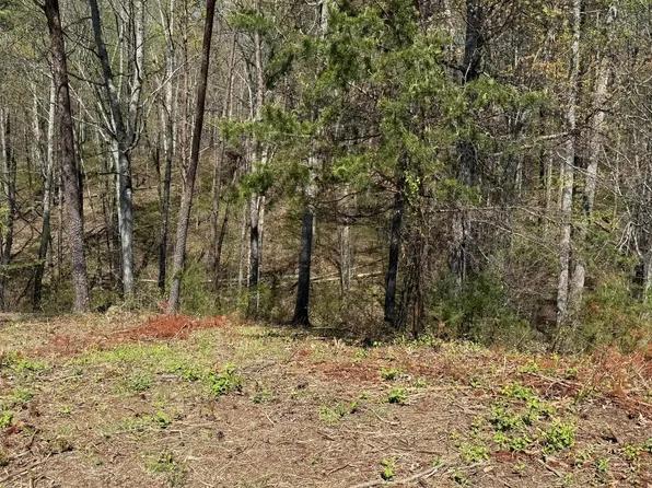 475 Bayside Blvd, Bean Station, TN 37708