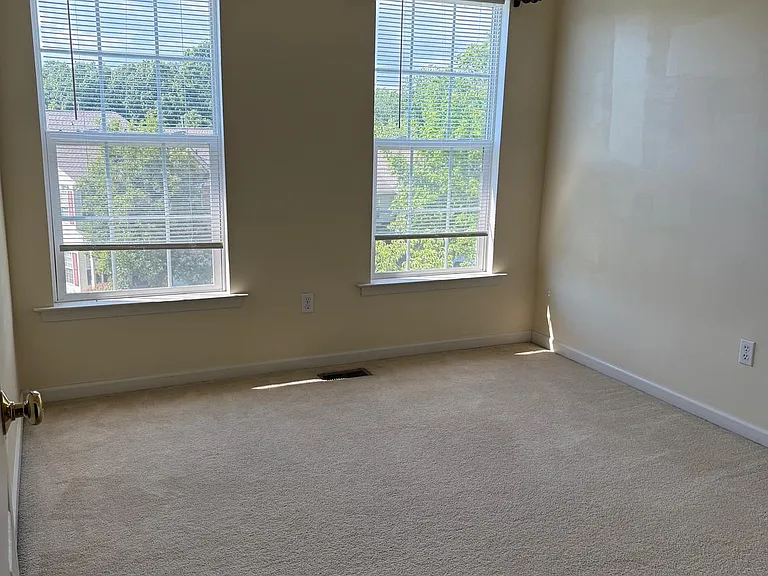 116 Fringetree Dr — Photo 18