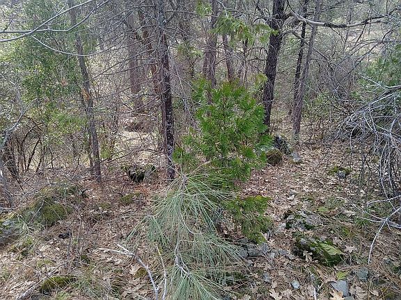 2nd image of 0 Road 222 #61400018